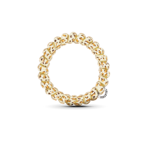 Spiral Hair Coils | Large | Leopard Hair Ties
